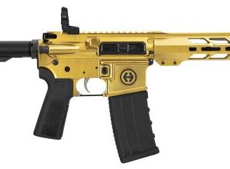 Hi Point HP15 Pistol .300BLK GOLD