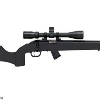 Howa M1100 Game Master .22WMR w/ 4-12 Scope